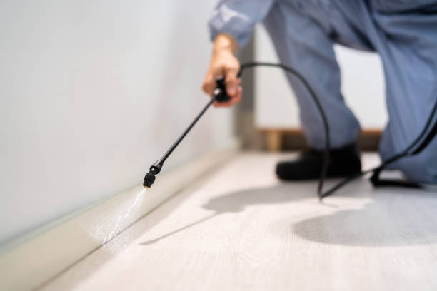 Licensed Pest Control service in Bude, MS - Show Me Pest Control