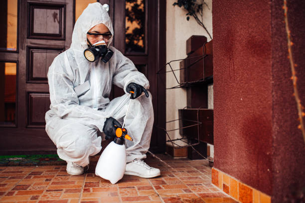 Reliable Ant Control contractor in Bude, MS by Show Me Pest Control