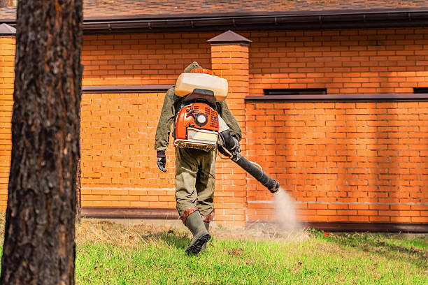 Top rated local Ant Control specialists in Bude, MS
